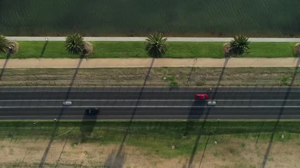 Smooth Aerial Bomb Shot Decent Cyclist Riding Albert Park Lake — Vídeo de Stock