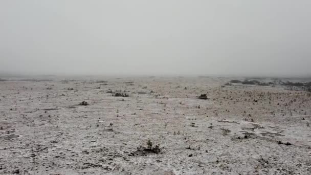 Aerial Drone View Empty Large Wide Bog Field Covered Snow — Vídeo de stock