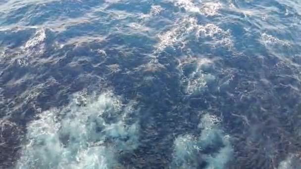 Sea Water Sides Cruiser While Navigating Effects Engines Propulsion Can — Stock videók