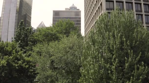 Aerial Shot Tilting Seattle Downtown Skyscrapers Reveal Concert Secluded Park — Video
