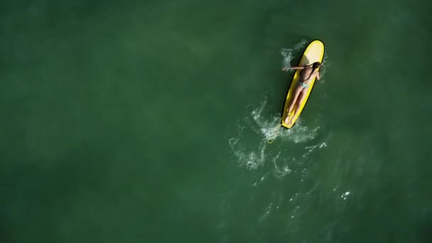 Aerial Top Surfer Girl Paddling Surfboard Calm Ocean Water — Vídeo de Stock