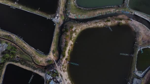 Aerial Birdseye Flying Forward Shrimp Farming Ponds Vietnam — Video Stock