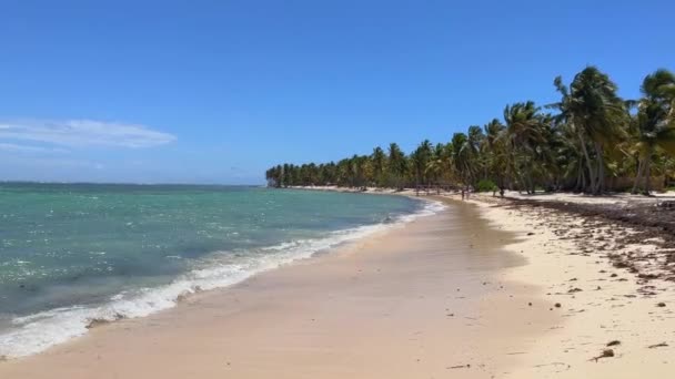 Ocean Waves Crashing Shore Beach Punta Cana Dominican Republic Caribbean — Stock Video