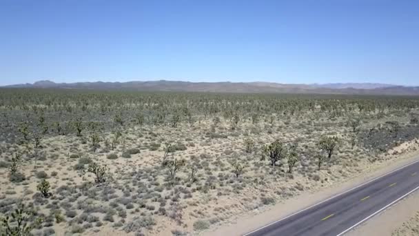 Empty Black Road Yellow Stripes Cacti Field Marvelous Aerial View — Stock video