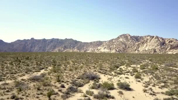 Documentary Desert Its Way Life Stunning Aerial View Flight Fly — Wideo stockowe