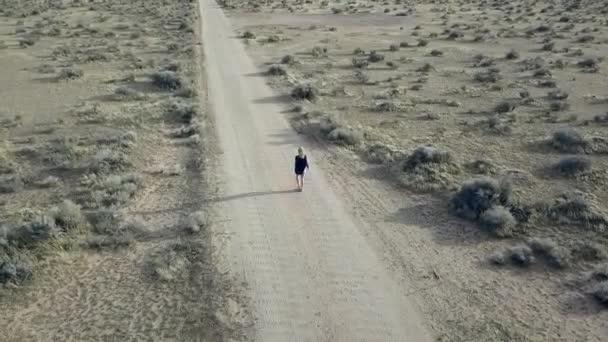 Woman Walking Alone Street Long Shadow Gorgeous Aerial View Flight — Wideo stockowe