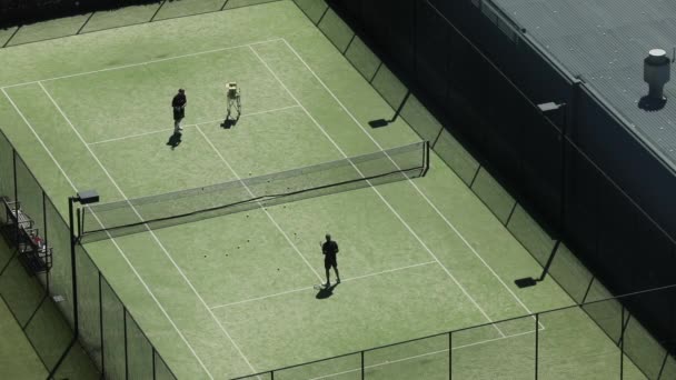 芝生の表面にテニス選手を練習するためにバレーボールをプレイテニスコーチ — ストック動画