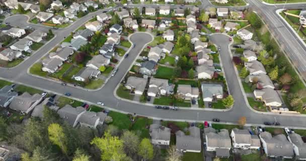 Top Aerial Cul Sacs Cookie Cutter American Neighborhood — Stok video