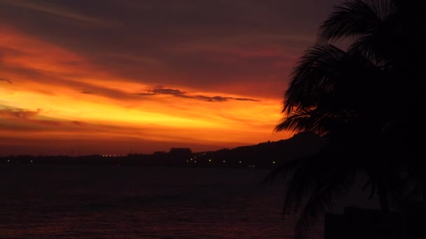 Scenic Amazing Colourful Sunset Sunrise Tropical Environment Palm Coconut Beach — Stock Video