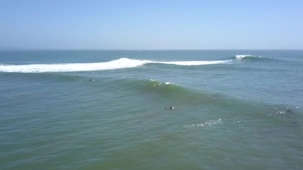 Certains Surfeurs Essayant Attraper Prochaine Vague Incroyable Vue Aérienne Vol — Video