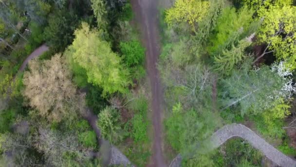 Path Woods Park Panorama Sky Breathtaking Aerial View Flight Slowly — Stock videók
