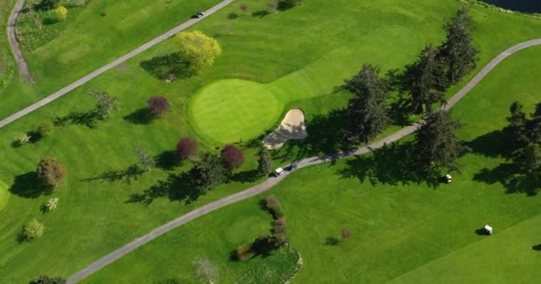 Aerial Golfers Going Out Green Putt — Stockvideo