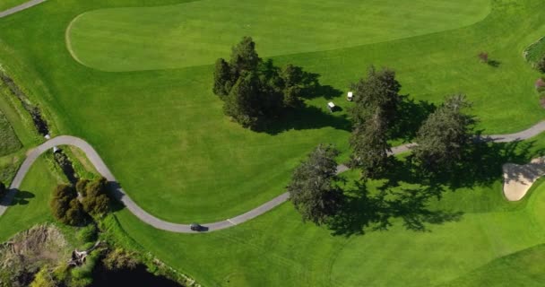 Aerial Shot Golf Carts Meandering Green Searching Balls — Stock videók