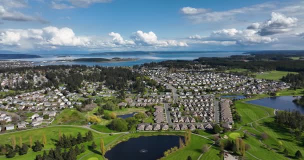 Aerial Shot Showcasing Multitude Suburban Houses Oak Harbor Washington — Video Stock