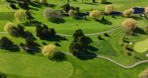 Top Panning Aerial Shot Green Well Maintained Golf Course Prime — Vídeo de stock