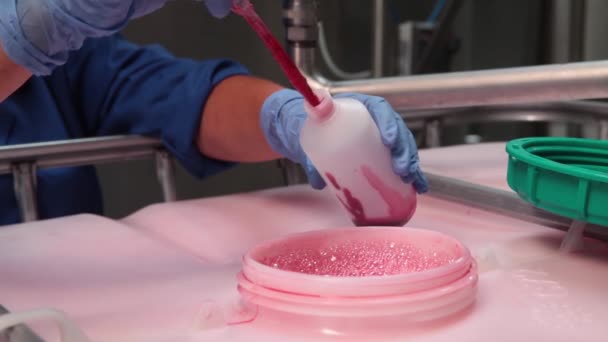 Industrial Sampling Berry Juice — Stockvideo