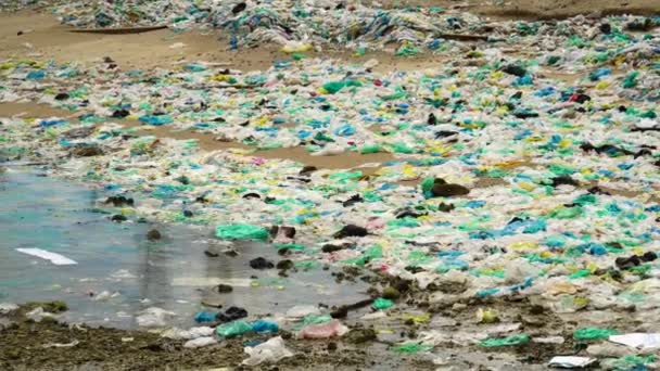 Пластиковые Бутылки Море Пластиковые Пакеты Мусор Экологическая Катастрофа Спасти Планету — стоковое видео
