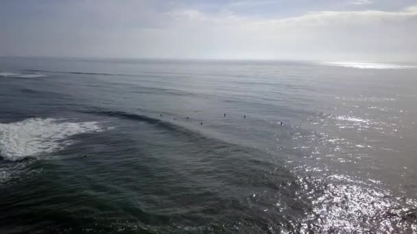 Alcuni Surfisti Vogliono Mostrare Cosa Possono Fare Incredibile Volo Vista — Video Stock