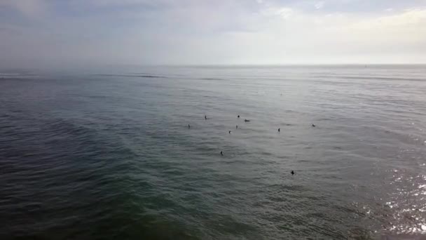 Surfers Water Look Little Ants Marvelous Aerial View Flight Fly — Vídeos de Stock