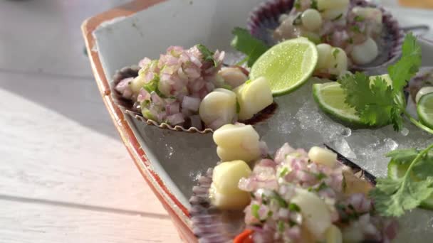 Conchas Chalaca Cocina Local Gourmet Mariscos Peruanos Entrada — Vídeos de Stock