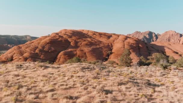 Omloppsbana Död Pensel Runt Kulle Utahs Snow Canyon — Stockvideo