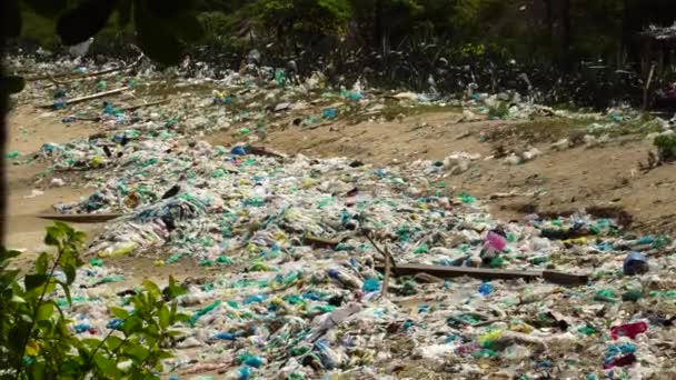 Beach Full Trash Garbage Causing Severe Environment Degradation Serious Concern — Vídeos de Stock