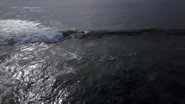 Slow Motion Surfer Riding Big Wave Start Finish Fantastic Aerial — 图库视频影像
