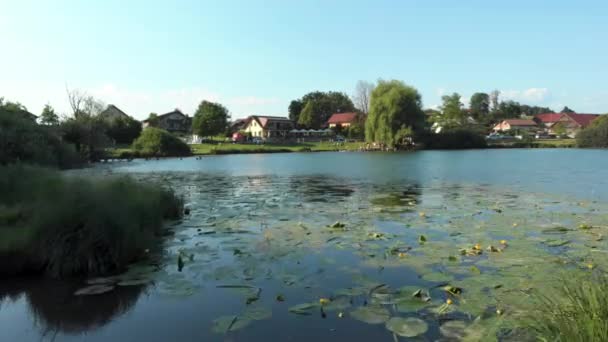 Drona Care Zboară Deasupra Apei Lacul Podpe Din Slovenia Verdeață — Videoclip de stoc