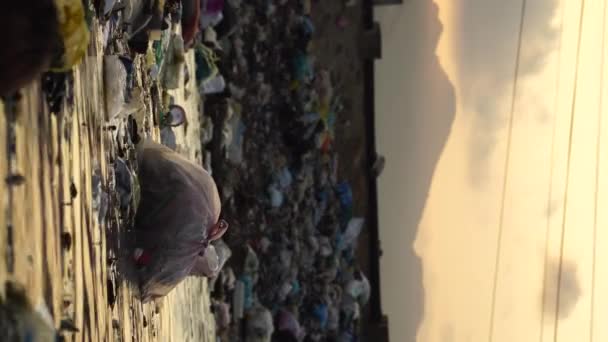 Verticale Video Plastic Vuilnis Vervuiling Oever Van Rivier Derde Wereld — Stockvideo
