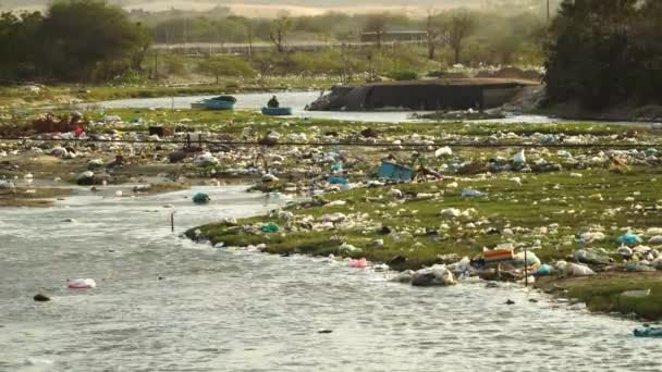 Visión Trágica Contaminación Gran Escala Largo Del Sistema Fluvial Agua — Vídeo de stock