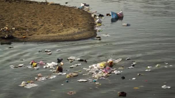 人間のゴミは環境を汚染し水に浮かぶゴミは捨て — ストック動画