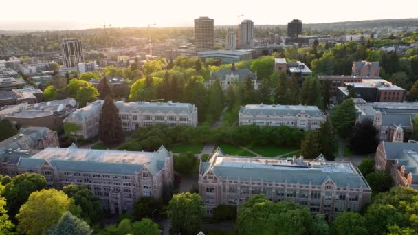 Aerial Establishing Shot University Washington Famous Quad Sunset — Stockvideo