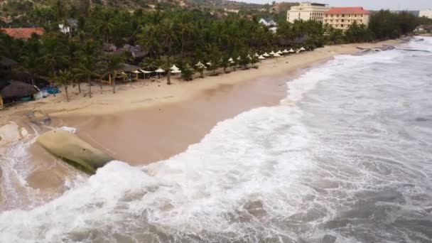 Algae Covered Geo Tube Protecting Sandy Beach Erosion Aerial View — Stockvideo