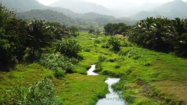 Tropical Landscape Scene Small Stream Vietnam Aerial Static — Stockvideo