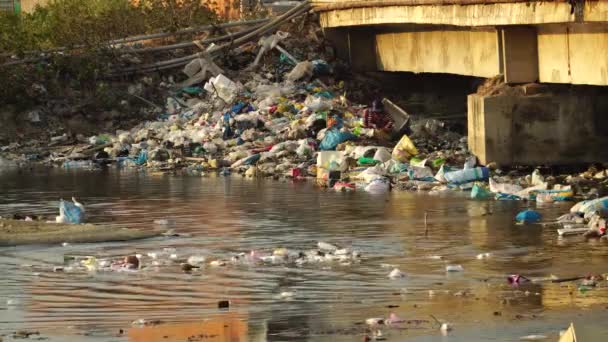 Local Son Hai Vietnam Scavenge Pile Garbage Riverside Floating Waste — Stockvideo