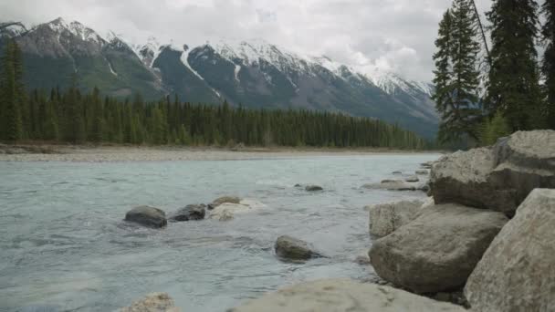 Stream Snow Capped Mountains Background Canadian Rocky Mountains — Stockvideo