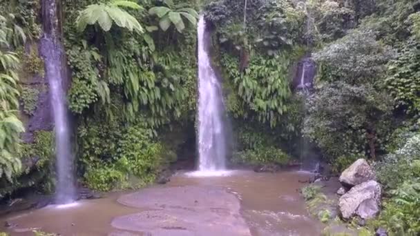 Rainforest Virgin Forest People Stunning Aerial View Flight Fly Backwards — ストック動画