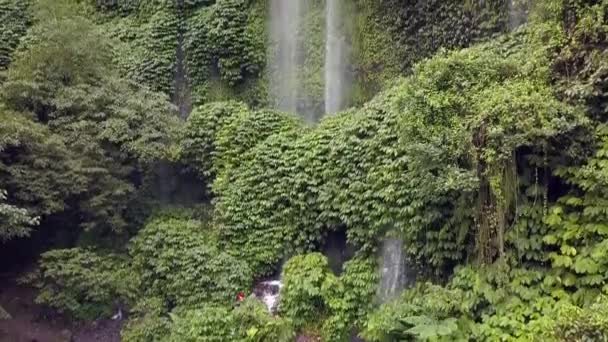 Şelale Perdesi Büyümüş Yeşil Duvarlar Şelale Şelalesi Benang Kelambu Lombok — Stok video