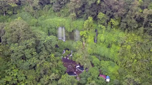 Viaggio Famiglia Nella Giungla Foresta Primitiva Vista Aerea Liscia Volo — Video Stock