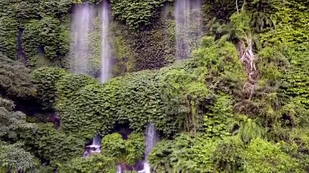 Slow Motion Waterfall Water Curtain Overgrown Green Walls Perfect Aerial — ストック動画