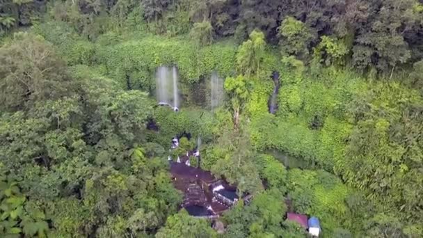 Rainforest Green Lungs Earth Calmer Aerial View Flight Panorama Overview — Stok video