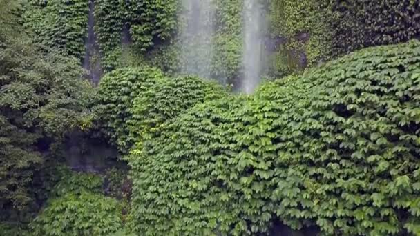 Avatar Pandora Waterfall Real Life Wonderful Aerial View Flight Rising — Vídeo de stock