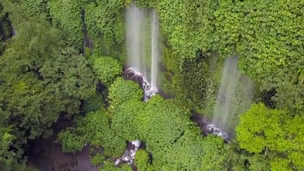 Slow Motion Double Waterfall Greened Walls Great Aerial View Flight — Stockvideo