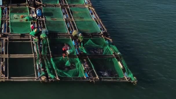 Unrecognizable People Working Floating Fishing Farm Blue Ocean Aerial View — стоковое видео