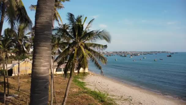 Revealing Whale Temple Vietnam Fishing Harbour Background Hundreds Boats — Vídeo de Stock