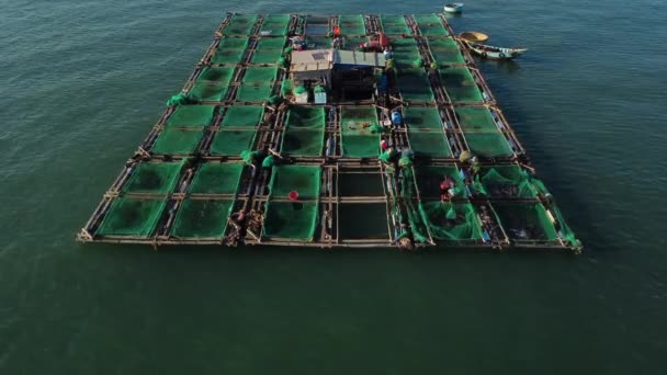 Повітряний Вид Нерозпізнаних Робітників Риболовецькій Фермі Узбережжі Єтнаму — стокове відео