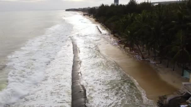 Geotube Trying Protect Sandy Coast While Ocean Waves Hitting Palm — Vídeo de stock