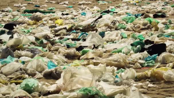 Detailní Záběr Plastových Sáčků Roztroušených Vietnamské Pláži Letících Větru Statické — Stock video