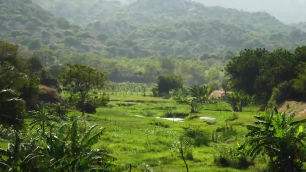 Тропічне Зелене Природне Середовище Джунглів Пальмою Гірським Пейзажем Сильному Вітрі — стокове відео