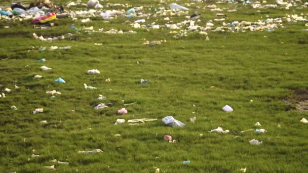 Green Natural Meadow Polluted Trash Plastic Bag Bottle Waste Desolate — Video Stock